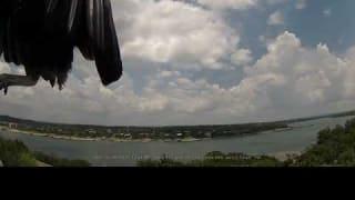 Lake Travis on 2026-06-08